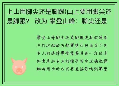 上山用脚尖还是脚跟(山上要用脚尖还是脚跟？ 改为 攀登山峰：脚尖还是脚跟更有效？)